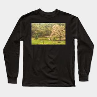 Country Roads Long Sleeve T-Shirt